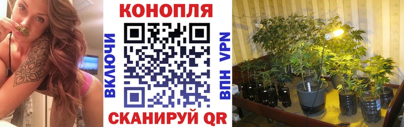 blacksprut маркетплейс  где продают   Елец  Марихуана ГИДРОПОН 